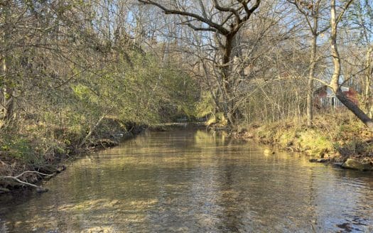 Leatherwood Creek – VTS101