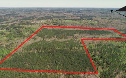 Buttahatchee Headwaters – DPV01