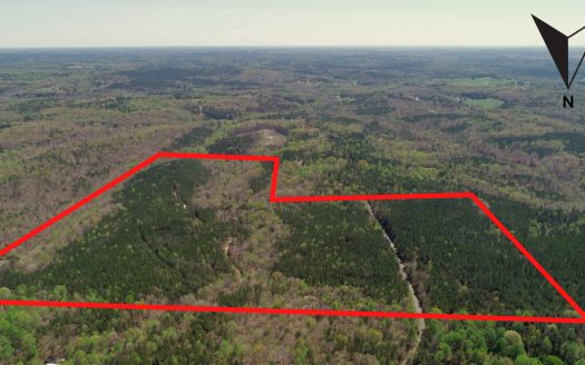 Buttahatchee Headwaters – DPV01